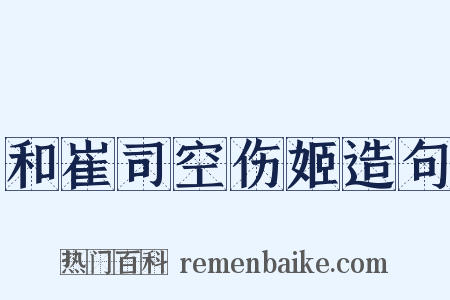 和崔司空伤姬造句是什么意思的图片